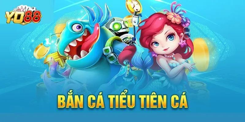 Giới thiệu đôi điều